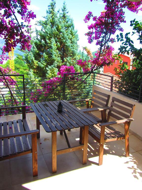 Apartments And Rooms Teona Budva Rum bild